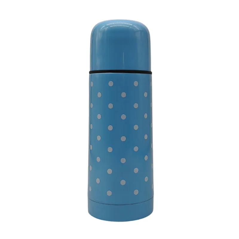 304 Stainless Steel Water Bottle