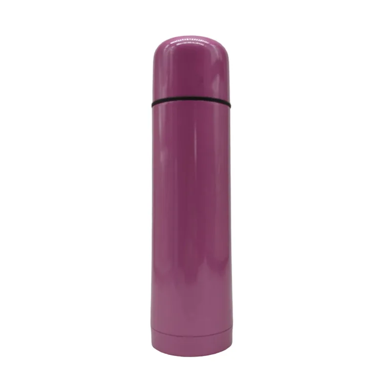 Double Wall Stainless Steel Bottle